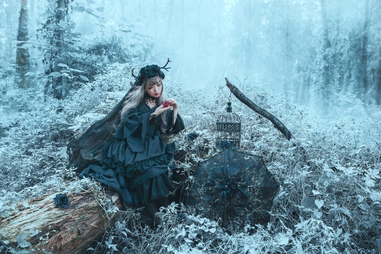 Gothic LolitaΨɾLzӰp