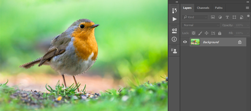 PhotoshopҮd͸߹ⱳӢ