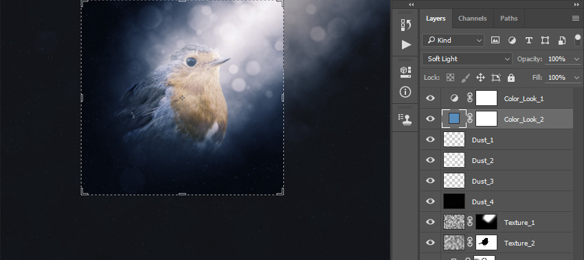 PhotoshopҮd͸߹ⱳӢ