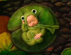 ںϳƷp