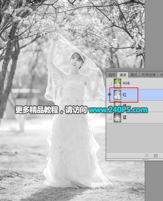 Photoshop摳出披著透明婚紗的新娘