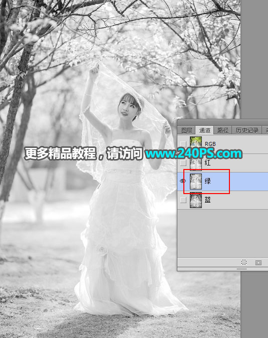 Photoshop摳出披著透明婚紗的新娘