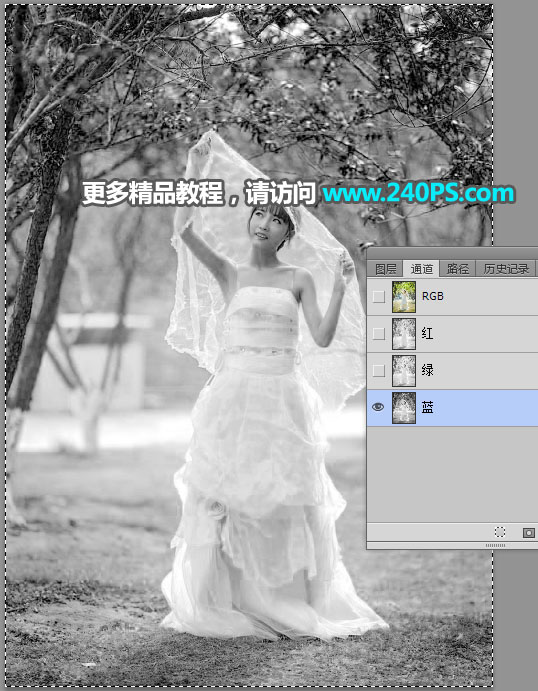 Photoshop摳出披著透明婚紗的新娘