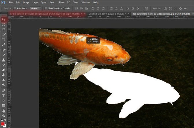 Photoshopϳʩ׎Ӣ
