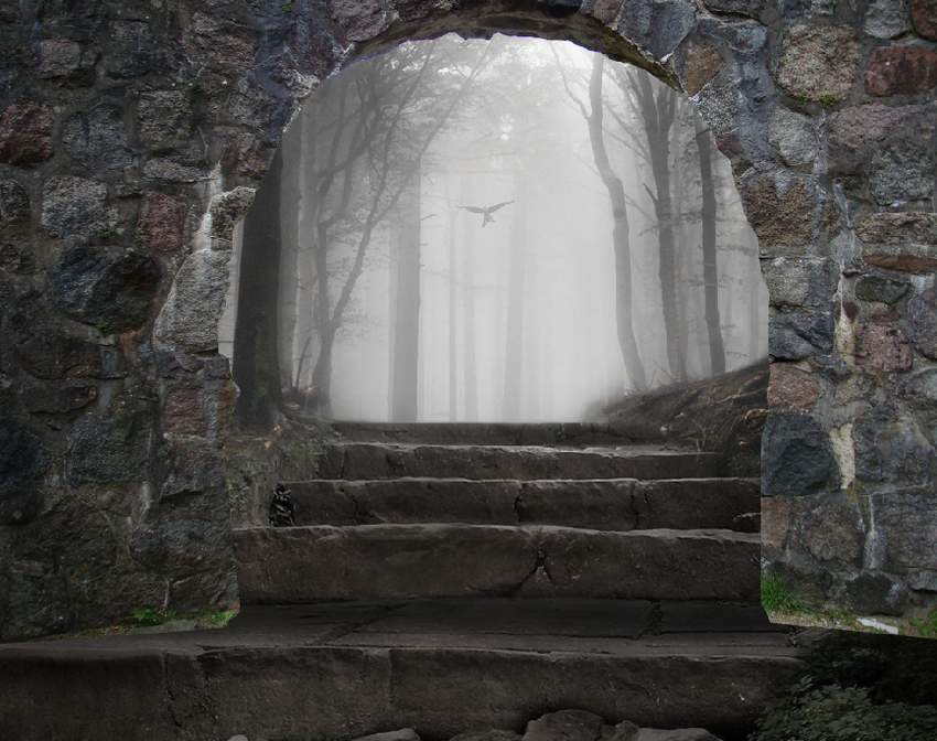 PhotoshopϳɉL(fng)ɭֈӢ