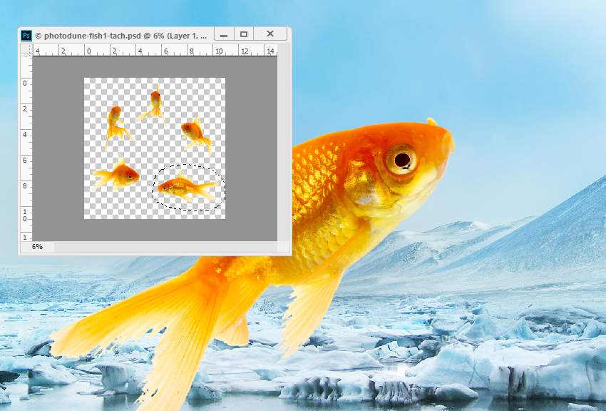 PhotoshopϳɱЧĽ~Ӣ