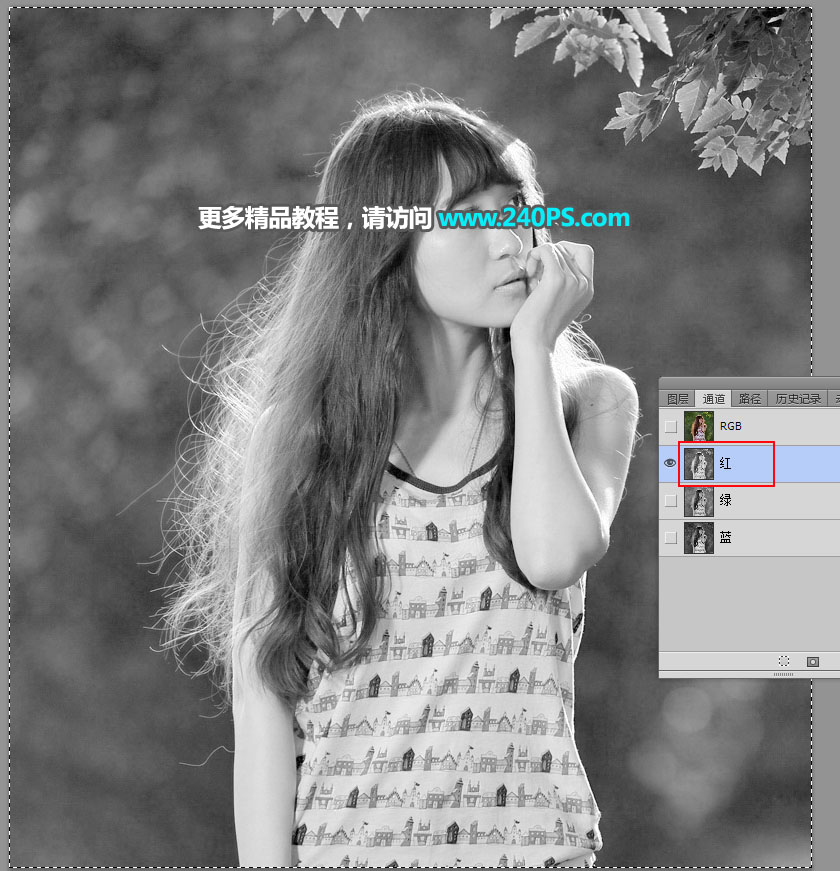 Photoshopܶ༚^lzƬ