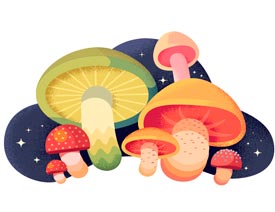 IllustratorLĥwLĢ宋