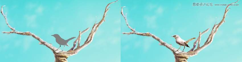 PhotoshopϳL(chung)Li¹Ӣ