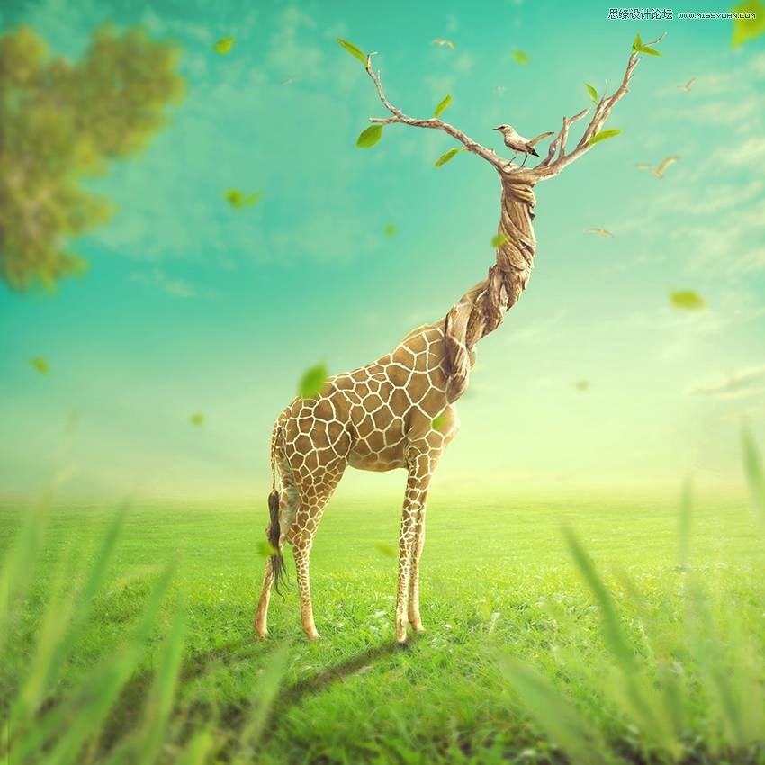 PhotoshopϳL(chung)Li¹Ӣ