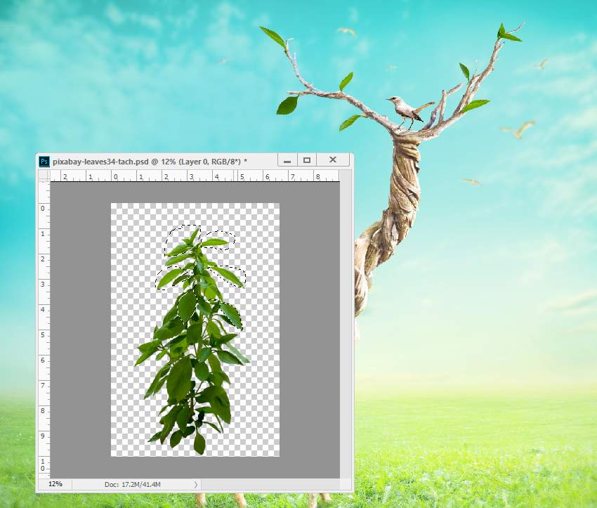 PhotoshopϳL(chung)Li¹Ӣ