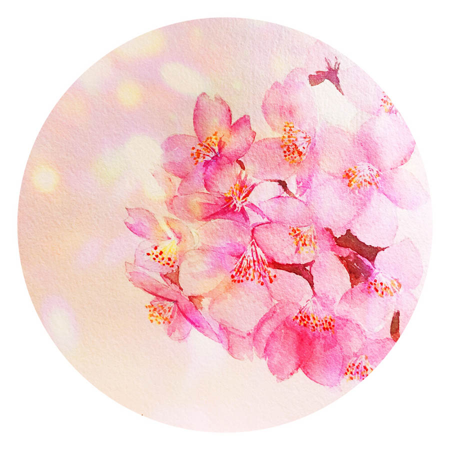 LˮLęѻƷ