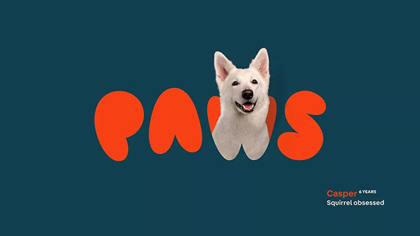 ZƷPawsҕXVIO(sh)Ӌ(j)p