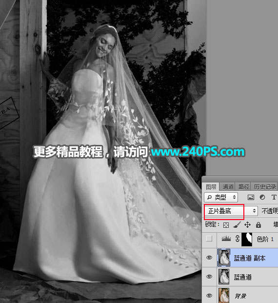 Photoshop͸鼆