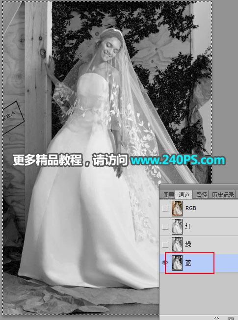 Photoshop͸鼆