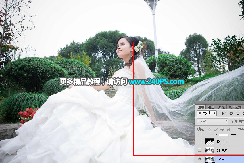 Photoshop(f)sµ͸鼆