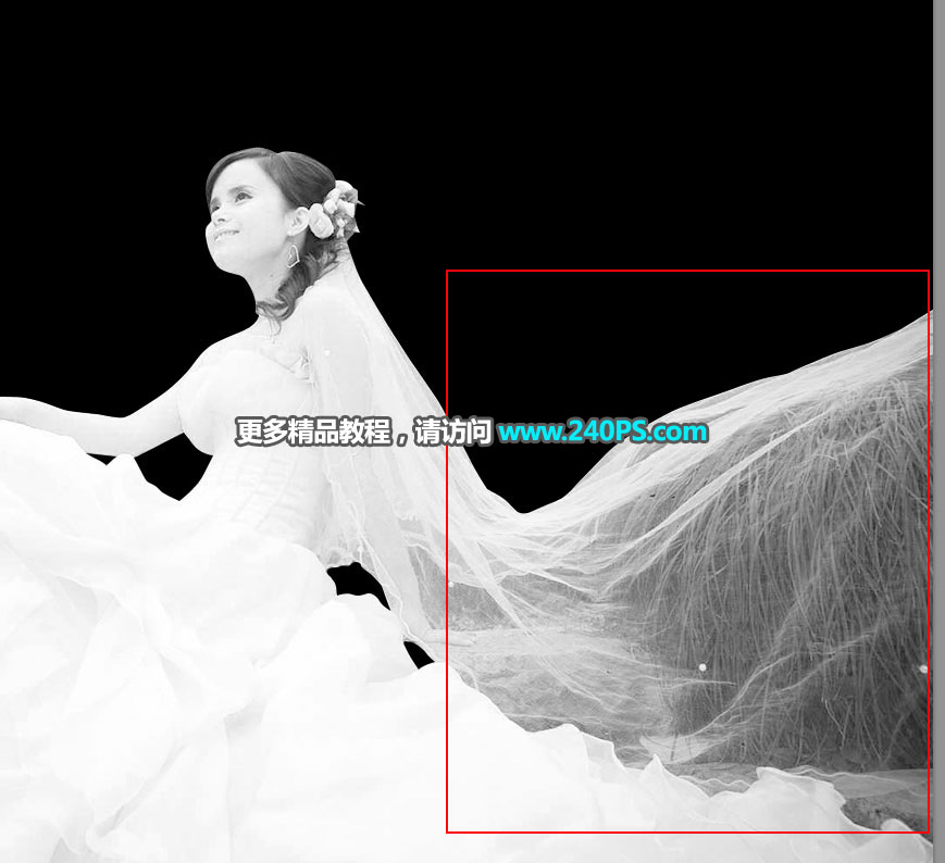 Photoshop(f)sµ͸鼆