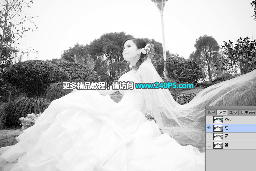 Photoshop(f)sµ͸鼆