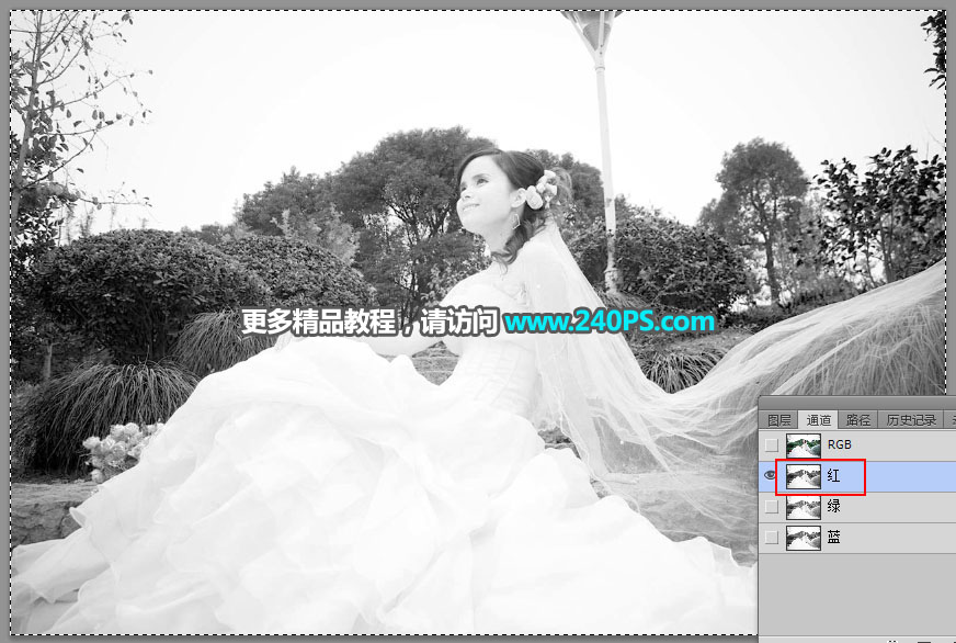 Photoshop(f)sµ͸鼆