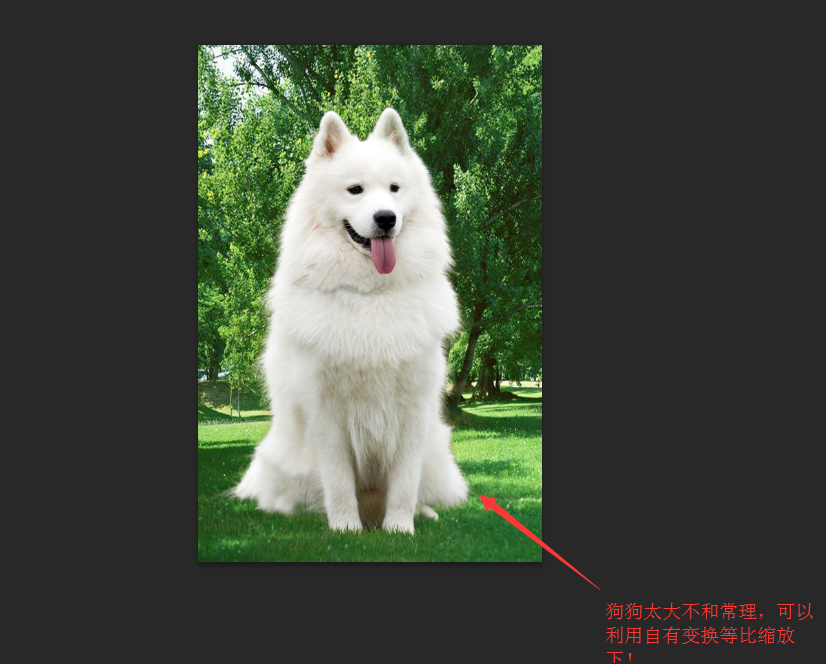 PhotoshopԔ(x)Γë׵С