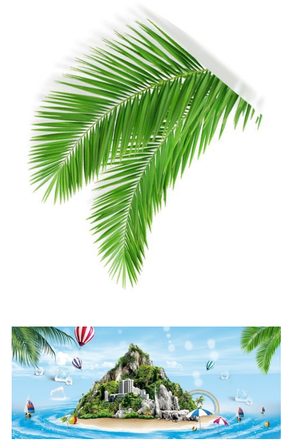 PhotoshopO(sh)Ӌ(j)(jin)sL(fng)κ(bo)Ʒ
