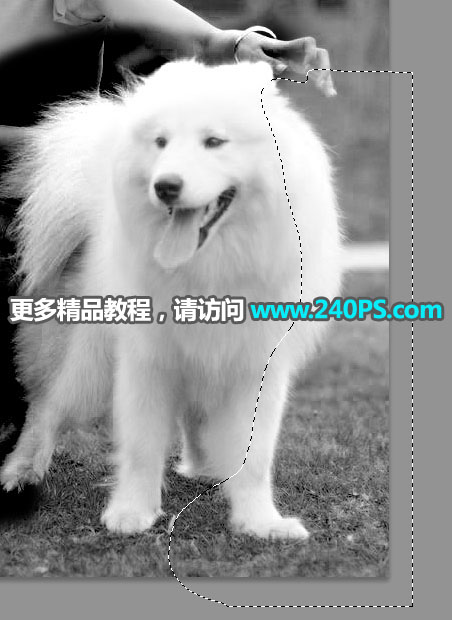 Photoshop^(f)sС