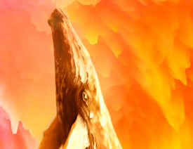 Photoshop3DŲʄ(chung)ĺ