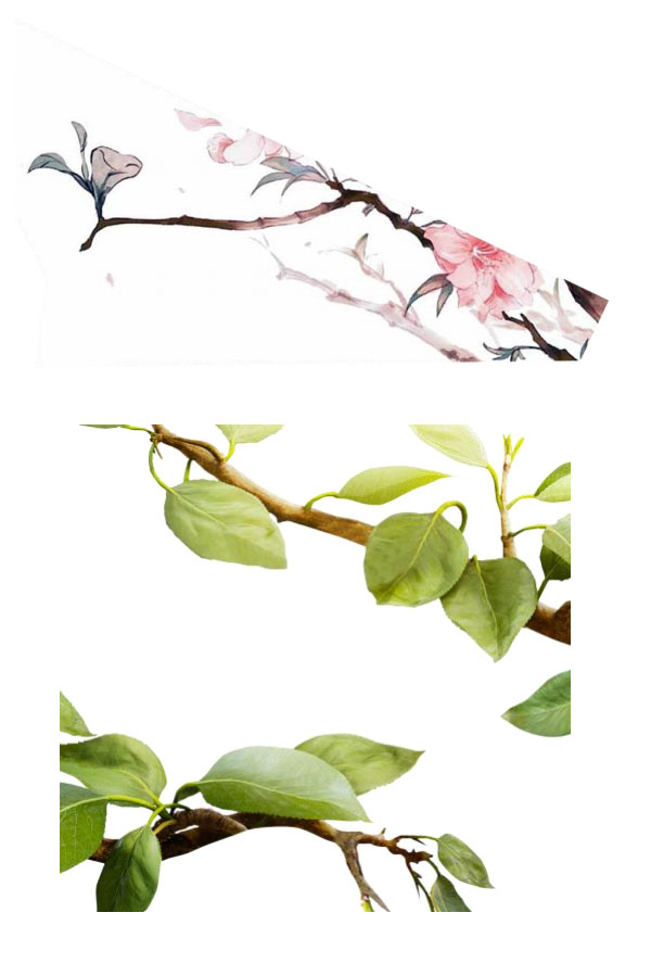 PhotoshopOӋЇL~