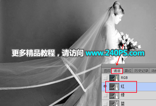 Photoshopٓ谵еĻ鼆