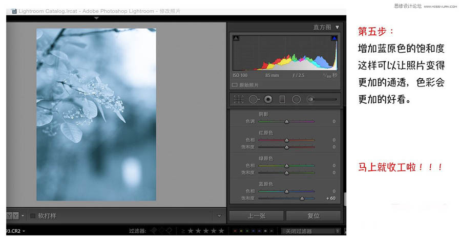 Photoshop{(dio)ΨL(fng){ɫˇg(sh)Ч