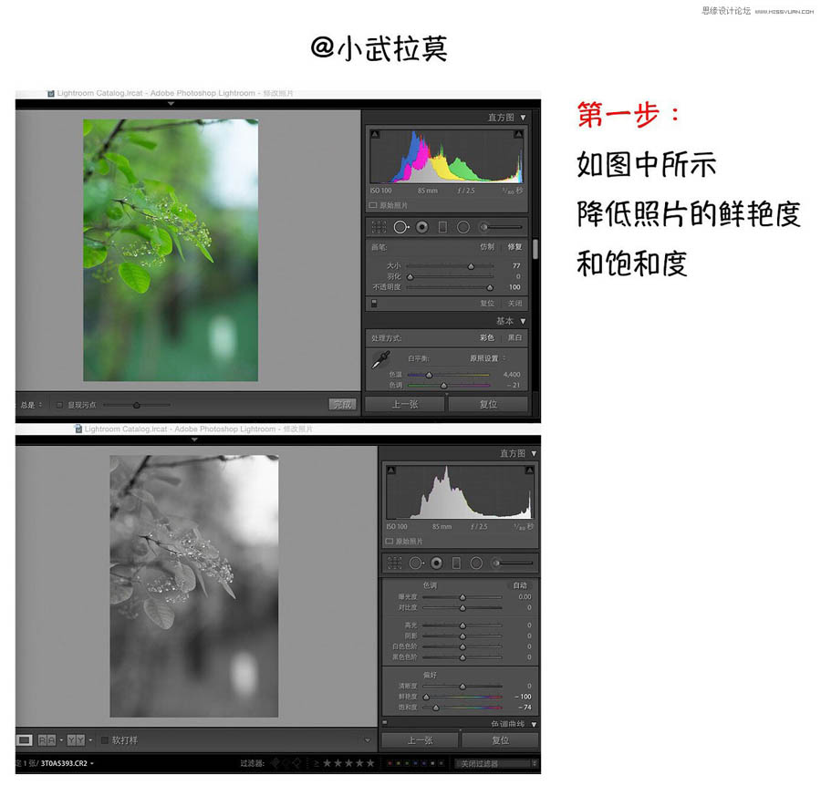 Photoshop{ΨL{ɫˇgЧ