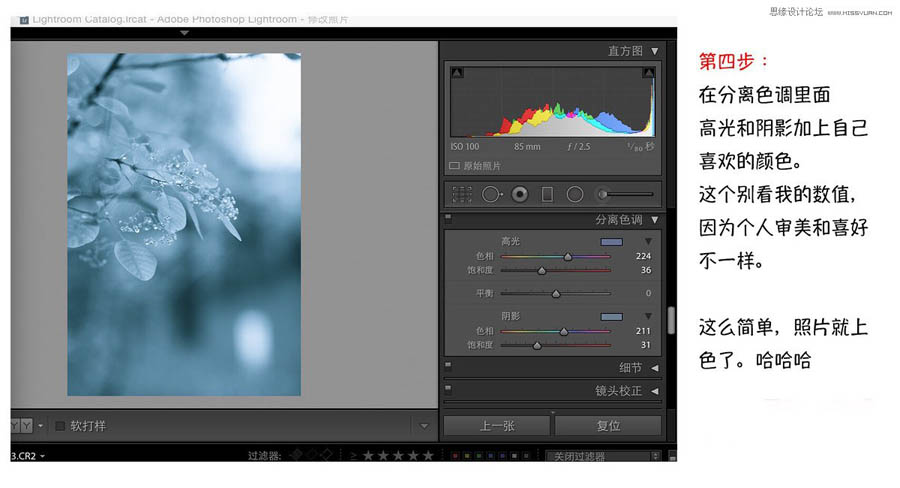 Photoshop{(dio)ΨL(fng){ɫˇg(sh)Ч