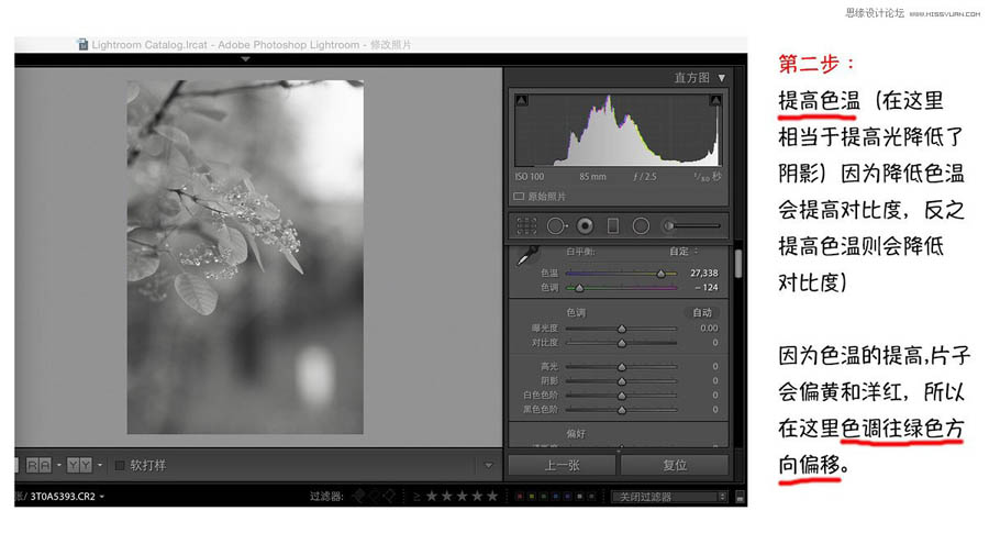 Photoshop{ΨL{ɫˇgЧ