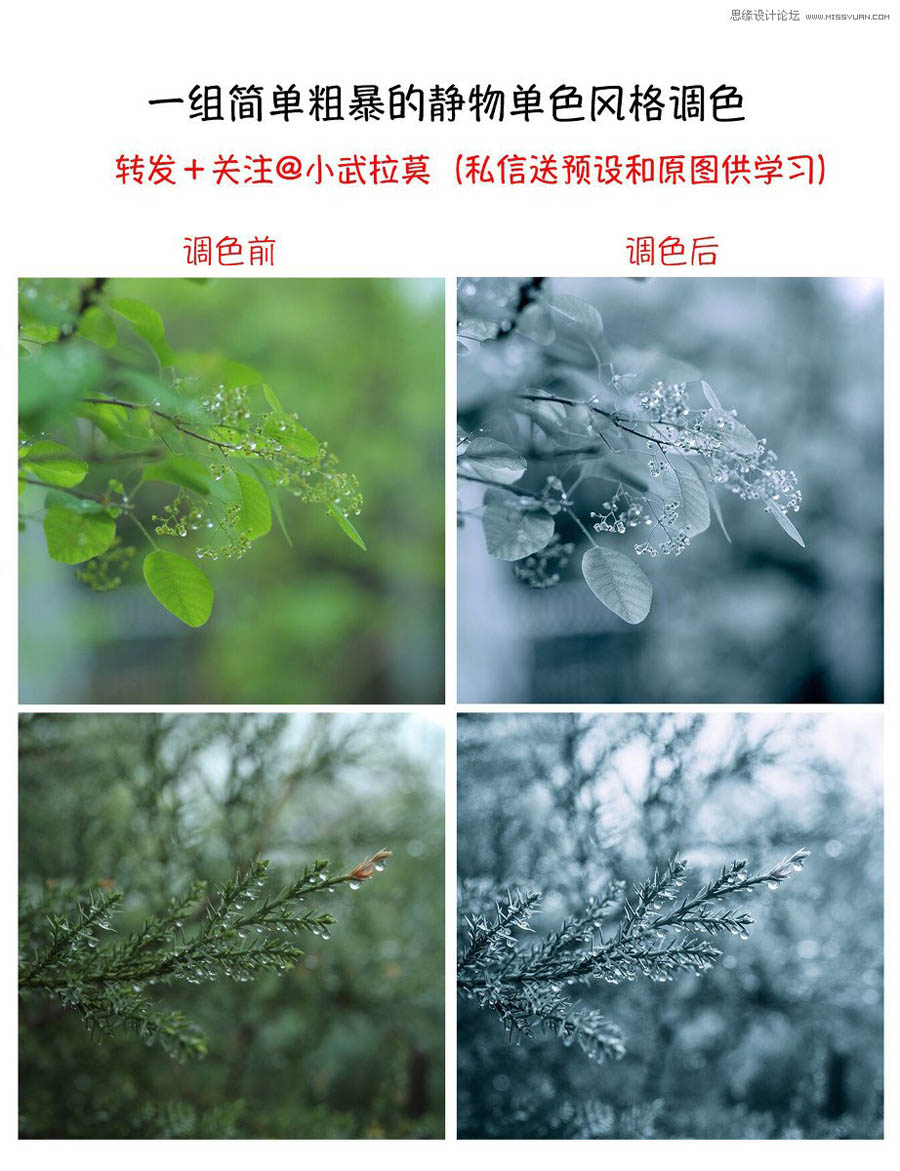 Photoshop{ΨL{ɫˇgЧ
