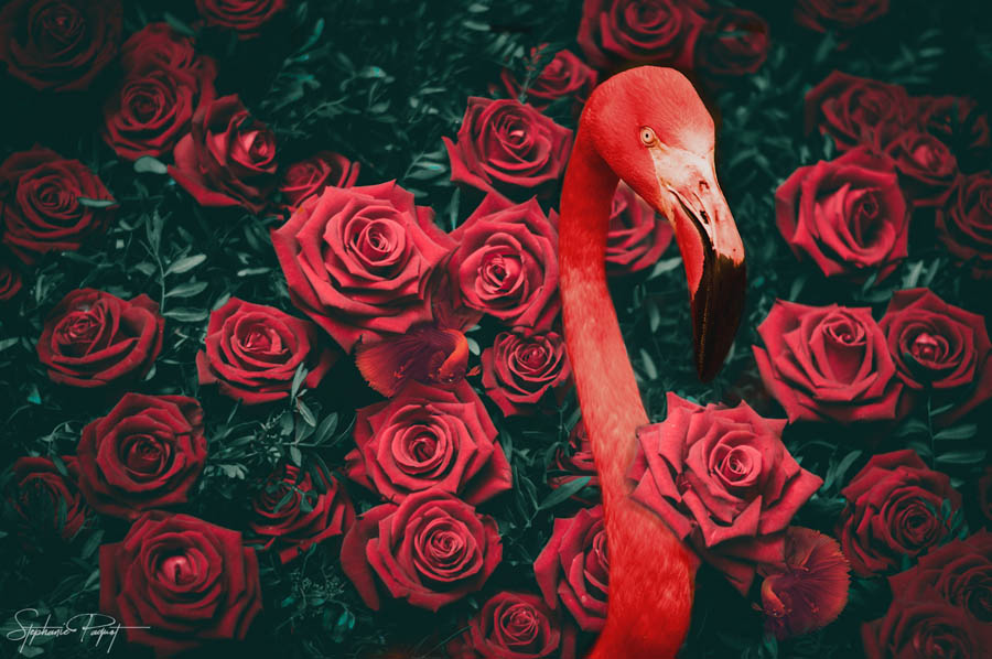 ŮOӋďVƷOӋp
