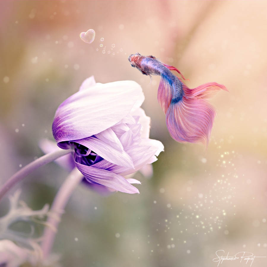 ŮO(sh)Ӌ(j)(chung)ďVƷO(sh)Ӌ(j)p