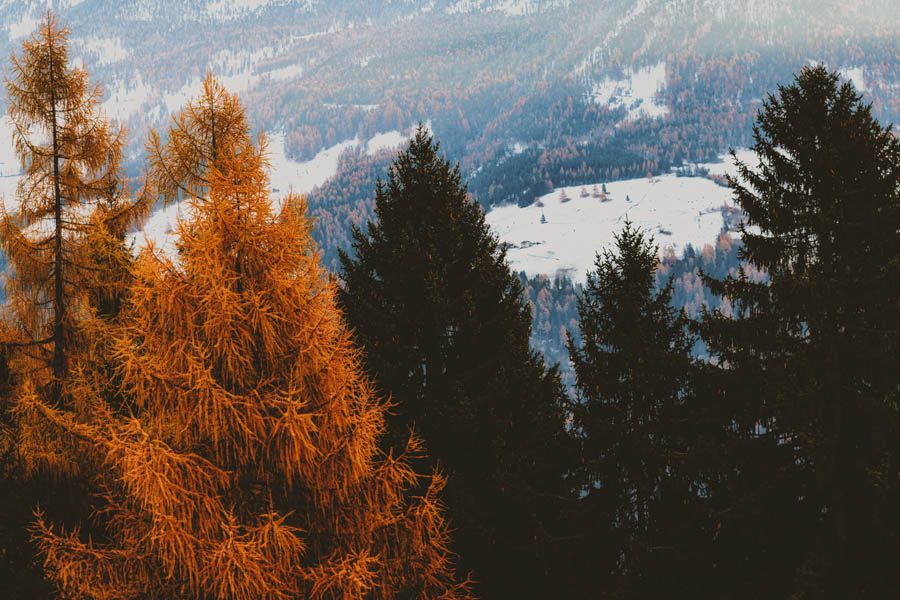 ͹ЧLR{LƬInstagramЧ