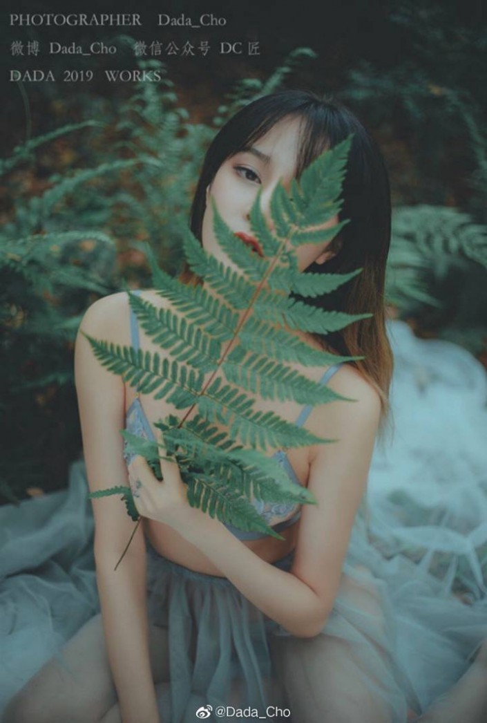 ЧLR{insɫ{ˇgЧ