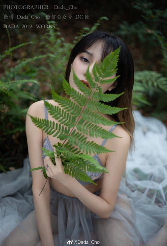 ЧLR{insɫ{ˇgЧ
