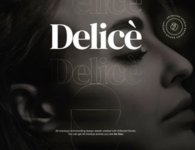 DeliceyƷƷO(sh)Ӌ(j)p