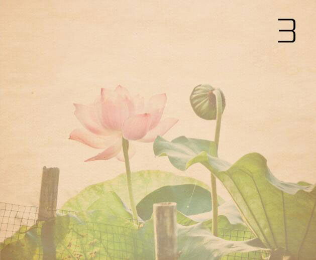 LЧPS{ŵLĺɻƬ