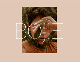 BOJIEƷO(sh)Ӌ(j)p