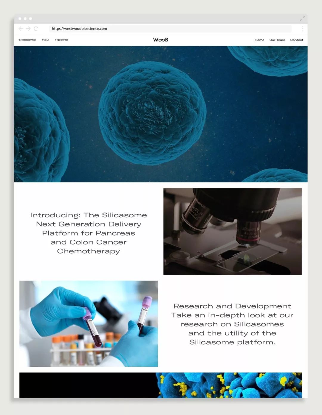 Westwood BioscienceҕXReOӋp