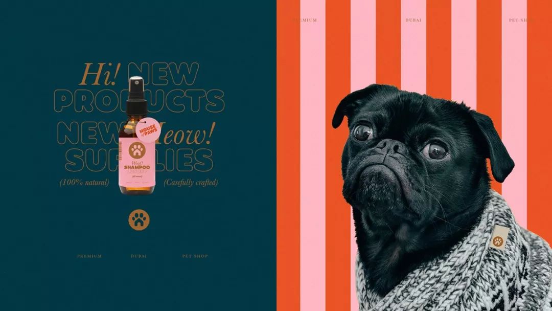 House of PawsƷҕX(ju)O(sh)Ӌ(j)