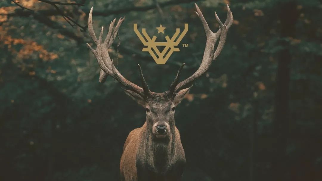 Deer StarơVIƷOӋp