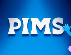 PIMSI(y)ƷVIO(sh)Ӌ(j)p