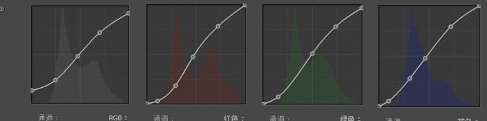LR{(dio)＾Ƭŵˇg(sh)Ч