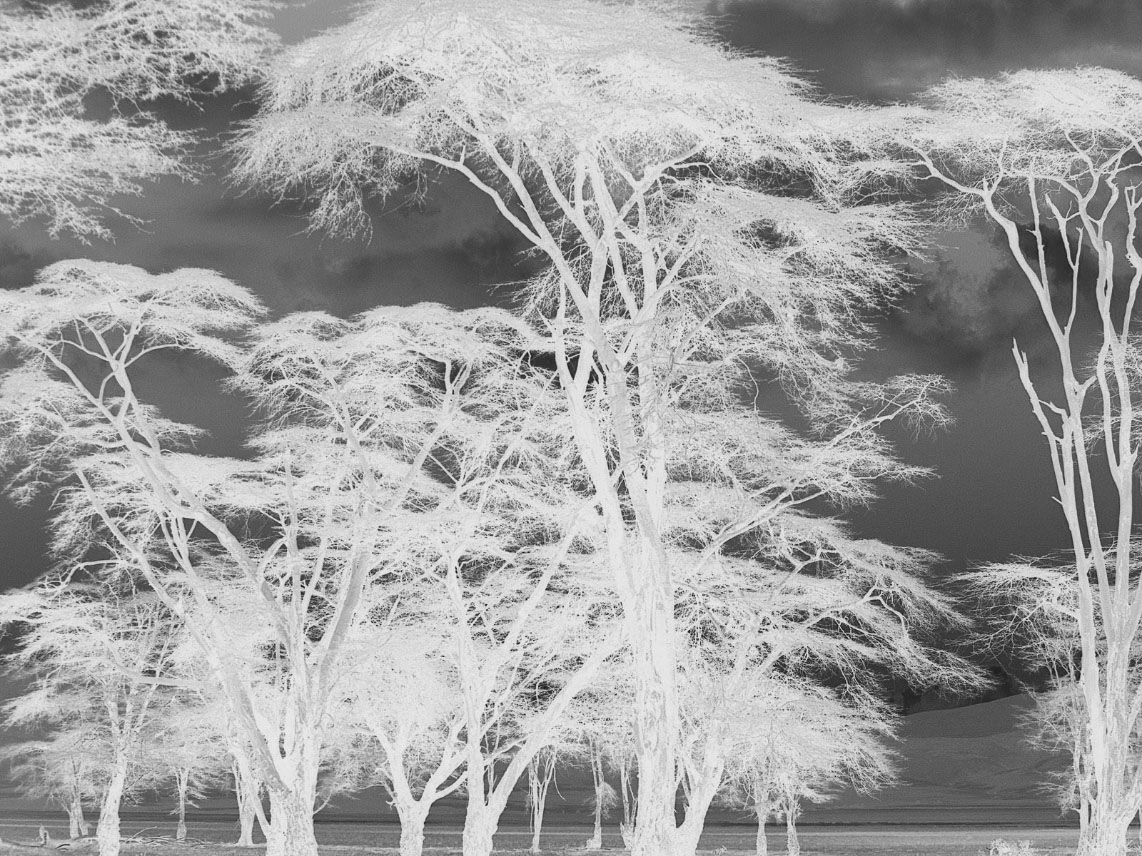 PhotoshopʹͨïܵĘľ