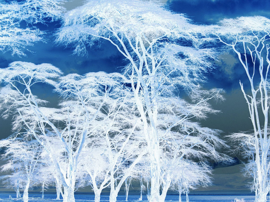 PhotoshopʹͨïܵĘľ