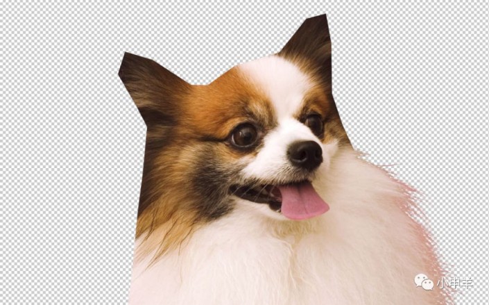 Photoshopʹͨߓɐ۵Ĺ